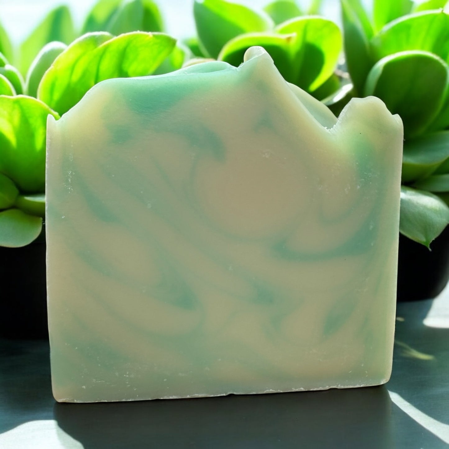 Clover Women's Bar Soap Fresh Clean Lightly Scented Shower Soap Moisturizer Cleanser by NailedInColor