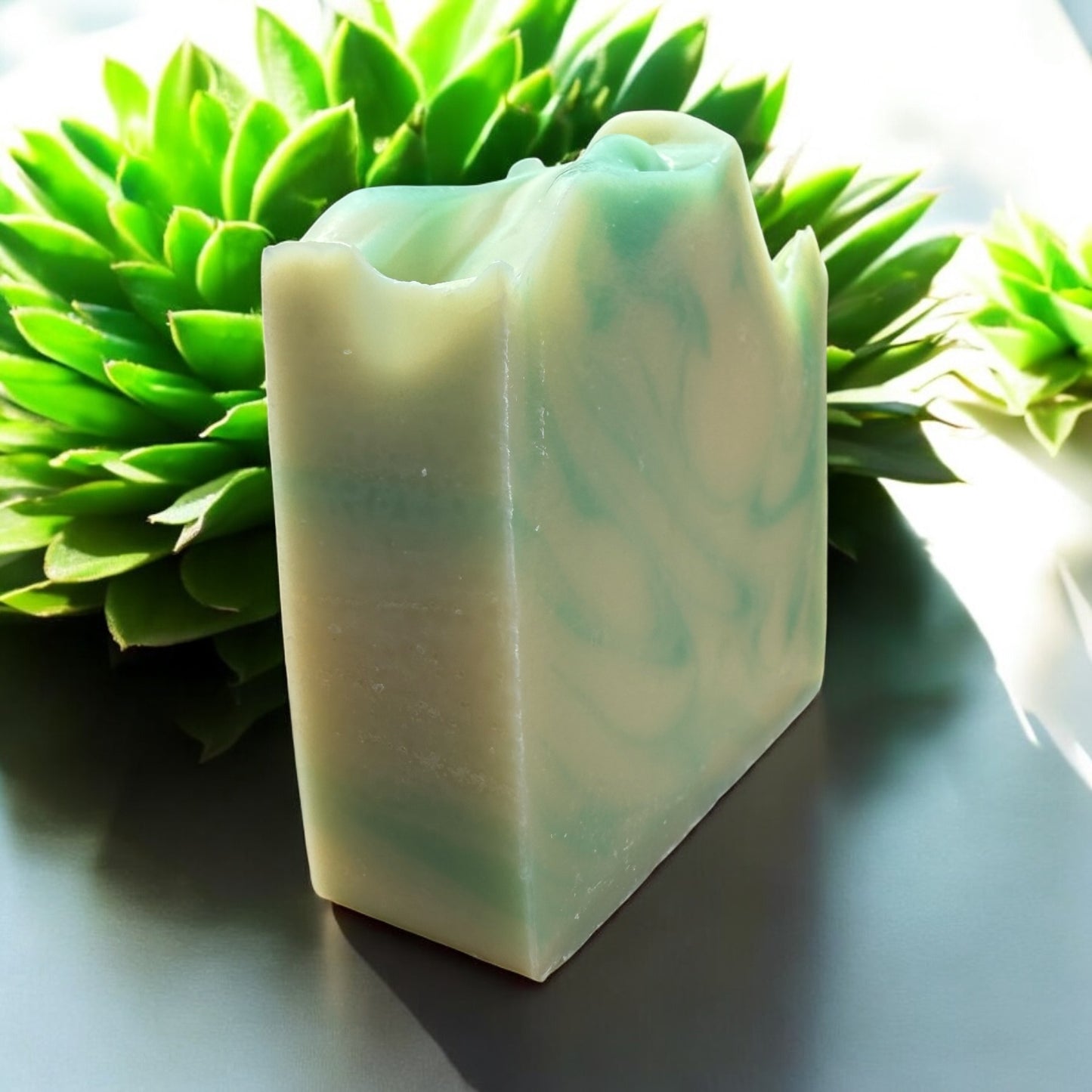 Clover Women's Bar Soap Fresh Clean Lightly Scented Shower Soap Moisturizer Cleanser by NailedInColor