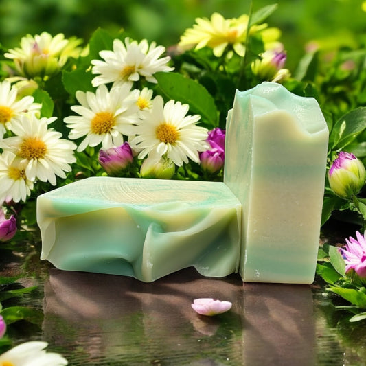 Clover Women's Bar Soap Fresh Clean Lightly Scented Shower Soap Moisturizer Cleanser by NailedInColor