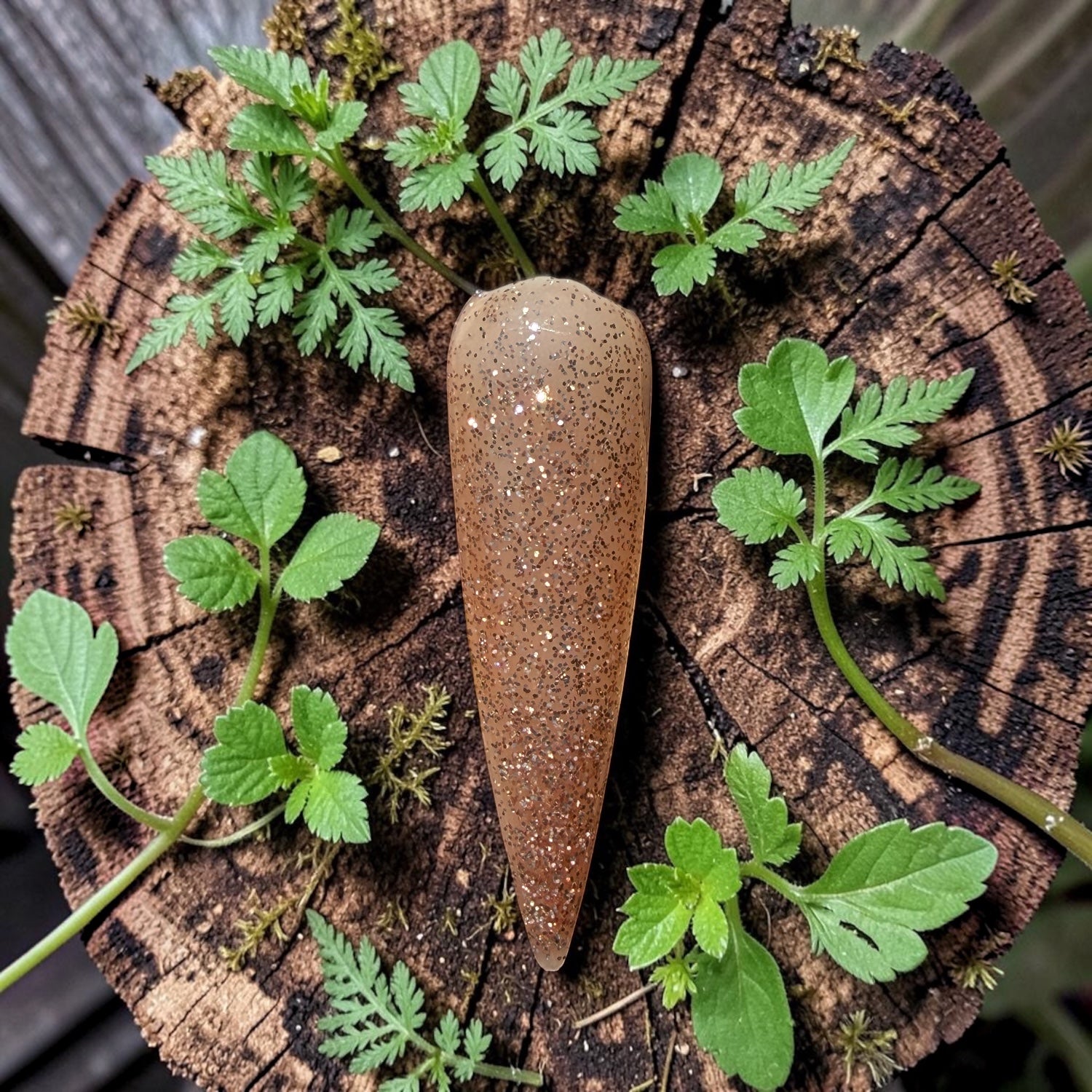 Decorative glitter gold nail swatch on a wooden stump with green plants